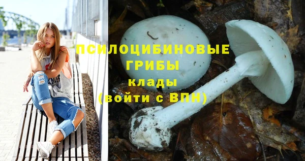 амф Белоозёрский
