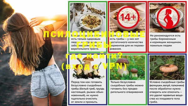 таблы Белокуриха